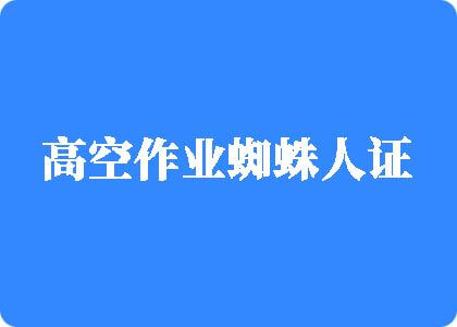 网站啊啊高空作业蜘蛛人证